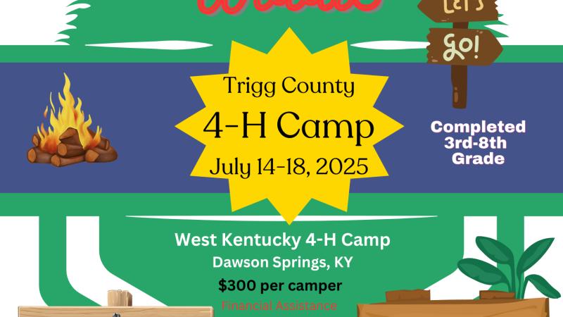 2025 camp flyer