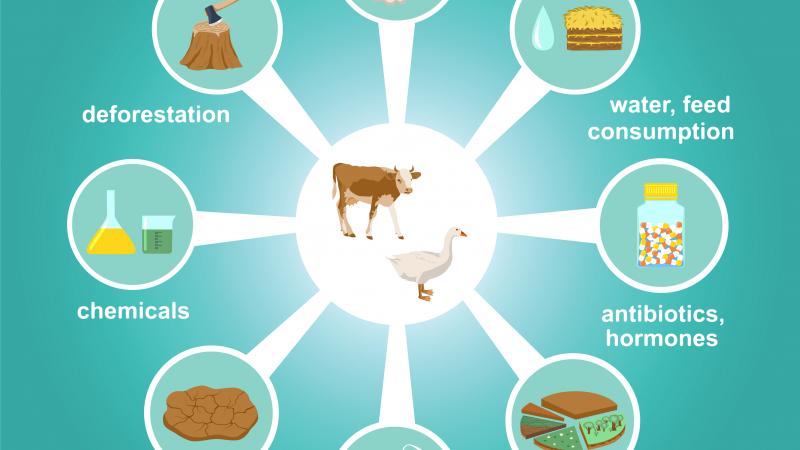 greenhouse gas diagram